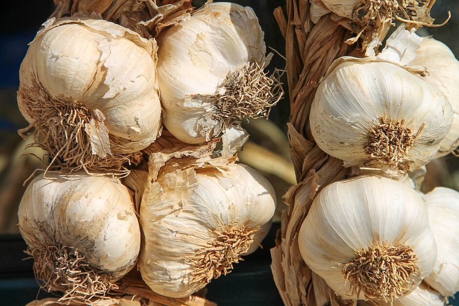 Garlic against parasites in the body