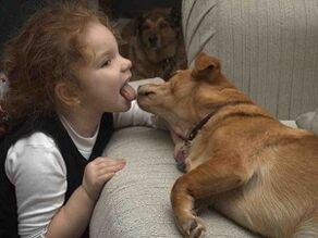 The child kisses the dog and becomes infected with parasites